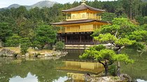 Kyoto and Nara 2-Day Tour: Golden Pavilion, Todaiji, Deer Park