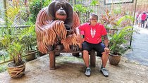 Wildlife & Wonders: Orang Utan Island + Perak Cave Temple Tour