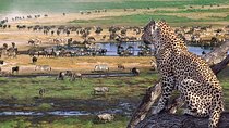 3 Day Joined Group Mid-range Safari Serengeti and Ngorongoro National Park