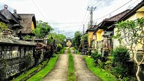 Bali Traditional Village Experience