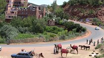 Marrakech Day Trip to Ourika Valley & Atlas Mountains