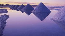 Uyuni Salt Flats (Day Tour) - English Speaking Guide