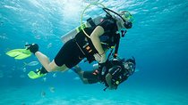 Discover Scuba Diving with two dives in the Ocean in Tenerife with Transfers
