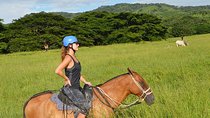 Horseback Riding 2hrs - Dreams Las Mareas