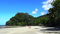 Cape Tribulation Day Tour from Cairns