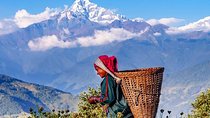 Private Full-Day Hike in the Annapurna Foothills in Pokhara