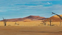 5 Days Swakopmund and Sossusvlei | Guided Lodge