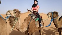 4 days trip MARRAKESH to FEZ with 2 nights in MERZOUGA DESERT