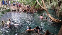 Kikuletwa (Chemka) Hot Springs Day Tour