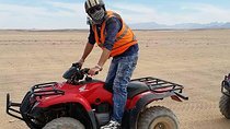 Marsa Alam Morning Quad Bike Desert Safari