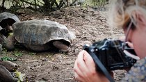 4 Days Galápagos - Isabela Islands and Santa Cruz