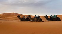 Fes to Merzouga Desert Trip – 2 Days, Camel Ride & Camp