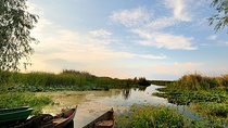 Danube Delta Private Tour from Bucharest