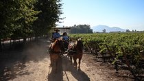 Viu Manent and Montes Winery, Colchagua Valley from semi-private