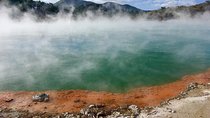 Volcanic Rotorua Day Trip from Auckland