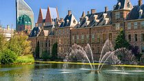 Private Day Tour: Rotterdam and The Hague. English or Spanish