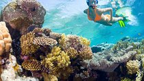Catalina Island Snorkel Excursion from Punta Cana