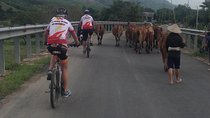 Saigon-Dalat-Muine Cycle Tour