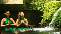 Bali Holy Bath and Jungle Swing Private Day Trip
