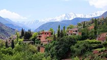 Small Group Day Tour to Ourika Valley from Marrakech
