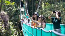 Sky Walk with Tour Guide From Arenal