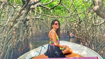 Galle Day Trip With Mangrove Safari From Negombo