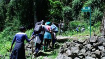 One Day Mt Bisoke Hike Adventure in Volcanoes Park ( 2 Pax Min)