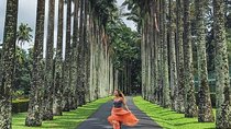 Private Kandy Day Tour from Colombo