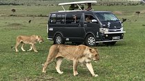 3 Days adventurous Maasai Mara Budget Group Safari