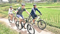 Kintamani Downhill Bike Tour