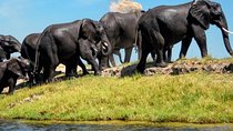 15 Days Namibia and Botswana | Guided Lodge