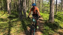Mountain Bike - Voss Forest
