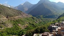 Atlas Mountains Camel Ride Day Trip From Marrakech