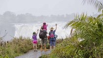 Guided Tour of Victoria Falls