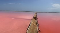 Pink Sea of Galerazamba