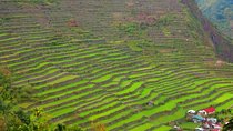Banaue Rice Terraces Escape: 3 Days, 2 Nights with Transfers