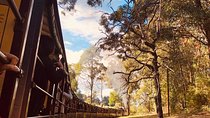 Private Yarra Valley And Puffing Billy Tour