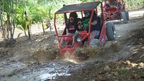 Punta Cana ATV Buggies Adventure from Santo Domingo Tour
