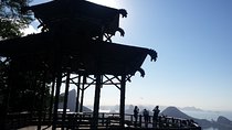Tijuca Forest Hiking tour - Rio de Janeiro by Rio Eco Trip