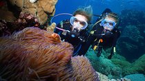 Quicksilver Dive 4 Day PADI Learn to Dive Course