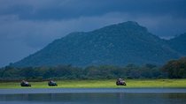 Udawalawe National Park Safari from Bentota