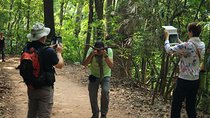 Birdwatching Trek in Kandy Udawatta Kele Forest Reserve