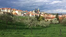 city tour to Prague Castle