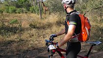 West Kilimanjaro cycling Adventures