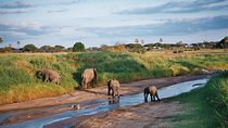 5 Days Tanzania Safari- Tarangire Np, Serengeti Np and Ngorongoro Crater