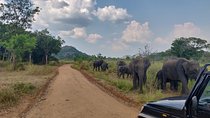 Hurulu Eco Park Safari from Kandy 