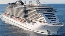 Rome Hotel to Civitavecchia Cruise Ship Port Private Transfer