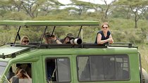 6 Days Tanzania Safari- Lake Manyara, Serengeti, Tarangire and Ngorongoro Crater