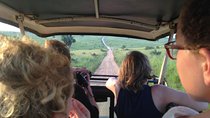 3-Day Murchison Falls Safari and Ziwa Rhino Tracking