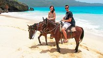 Horseback Riding on the Beach in Punta Cana (One Hour)